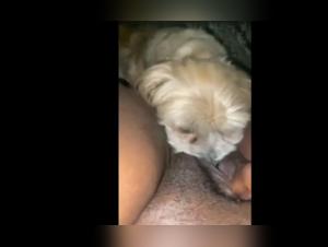 A Woman and Her Dog - Intense Zoophilia Scene