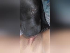 Dog Licks Woman's Vagina