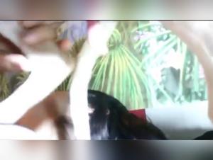 Slut Dog Sex - Extreme XXX Videos