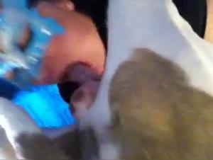 Canine blowjob: a shocking bestiality sex video