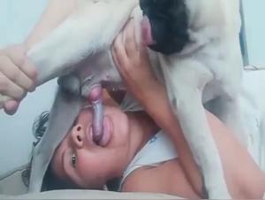 rubia azotada por perro blanco, sin piedad