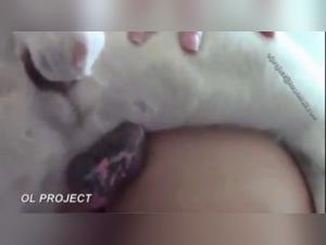 A Redhead's Intimate Encounter with a Canine Friend