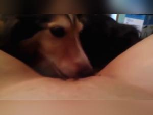 Submissive woman lets herself be dominated by her dog