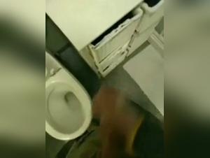 A shocking family story: zoophilia and sex with dogs