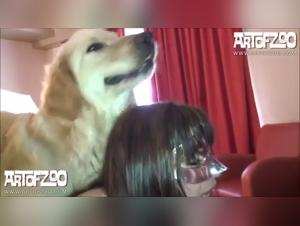 The art of bestiality with girls