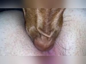 Submissive woman and naughty dog   in a zoophilia video