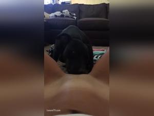 Unexpected Encounter: Milf and Dog