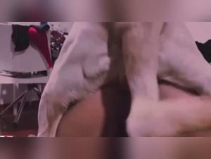 Sexiest animal fuck videos with a slut from zooskoolvideos