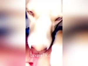 Forbidden Desires: Dog Sex Domination