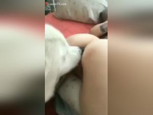 Bestiality sex video: a slut and a dog