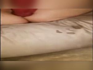 Woman and Dog: A Tale of Bestiality