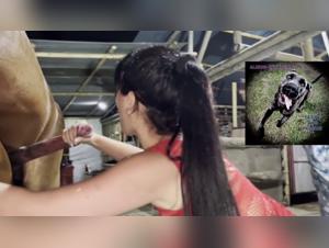 Forbidden Meeting: Woman and Horse