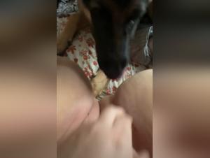 Sapna Chien Baise