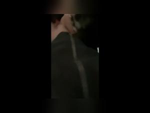 Compilation of Women Being Licked by Dogs - Zoophilia Fun