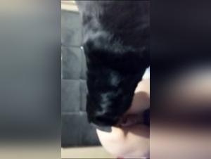 Submissive woman and dog: a shocking bestiality video