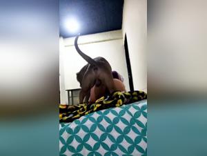 Reactions 141/144: Woman Gets Fucked by Dog