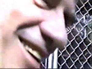 Blondes and horses: a beastly experience