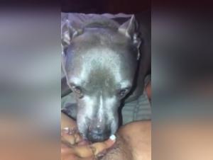 Bestial sex video: a woman and her dog