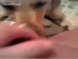 Bestiality Sex Videos: female dog and Master