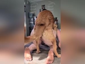 Baise Chien Salope Milly Part 1