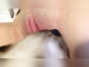 Sex with Dogs: Forbidden Videos
