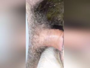 storia erotica delle vacche