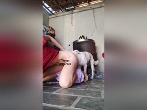 exploring the dark side of zoophilia