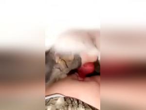 Dildog - A story of bestiality and passion