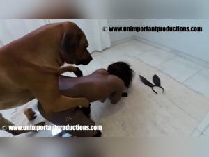 The Intern's Zoophilic Nightmare - XXX Animal Sex Video