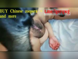 Bestiality sex video: Asian and dog