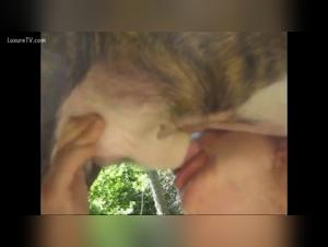 Woman and dog in a zoophilia scene