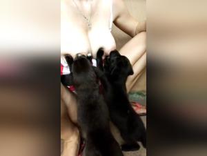 Woman Breastfeeding a Puppy - Dog Sex Video
