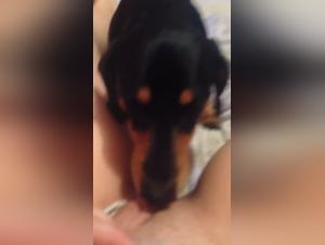 Sex video with a dog: a beastly and exciting experience