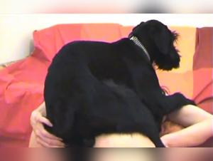 Masked slut rubs her pussy and gets eaten by her dog