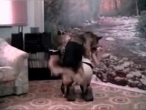 Video of Sex with a Dog