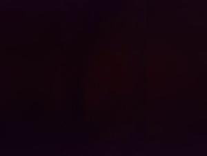 Bestiality: Woman and dog