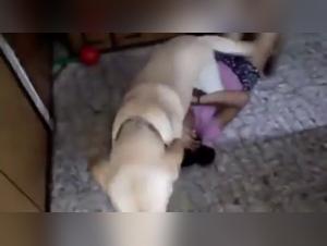 Indian woman and her dog: an exciting zoophilia video