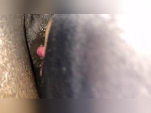 First Experience with a Horse - LoveforHorses Episode 1