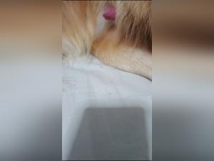 Unveiling Erotic Art: Where Boundaries Blur