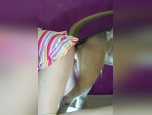 Bestial Encounter: Woman and Dog