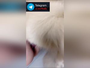 mission erotica asiatica con cane adulto