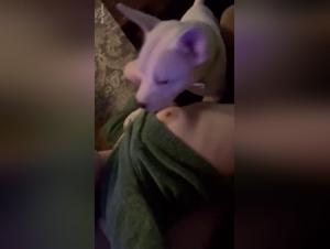 bestiality animal onlyfan