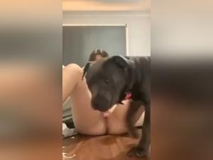 dog cock dominance: primal lust unleashed