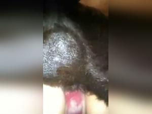 Hunde-Bestialitat-Sexvideos - Amateur-Hund 5