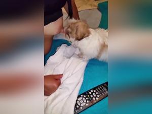 Beastly Breastmilk