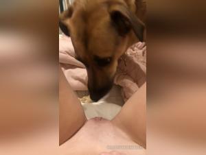 Erica Husted: Salope Lèche Son Chien