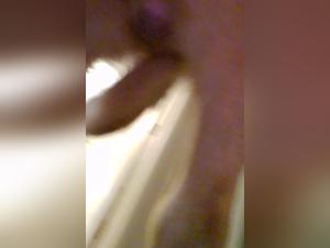 Beast Training: An Exciting Experience