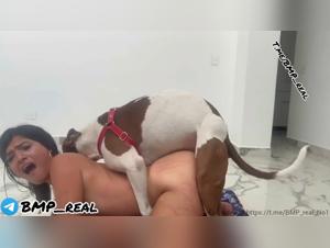 Coral - Hund vergewaltigt, Rohes Vergnügen