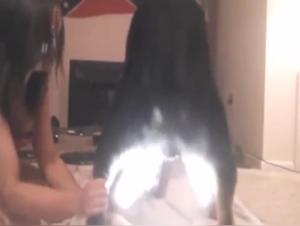 Video of Sex with a Dog