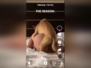 Contenuto TikTok Proibito: Animali e Limiti Sociali